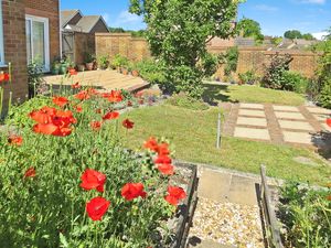 Photo 3- click for photo gallery